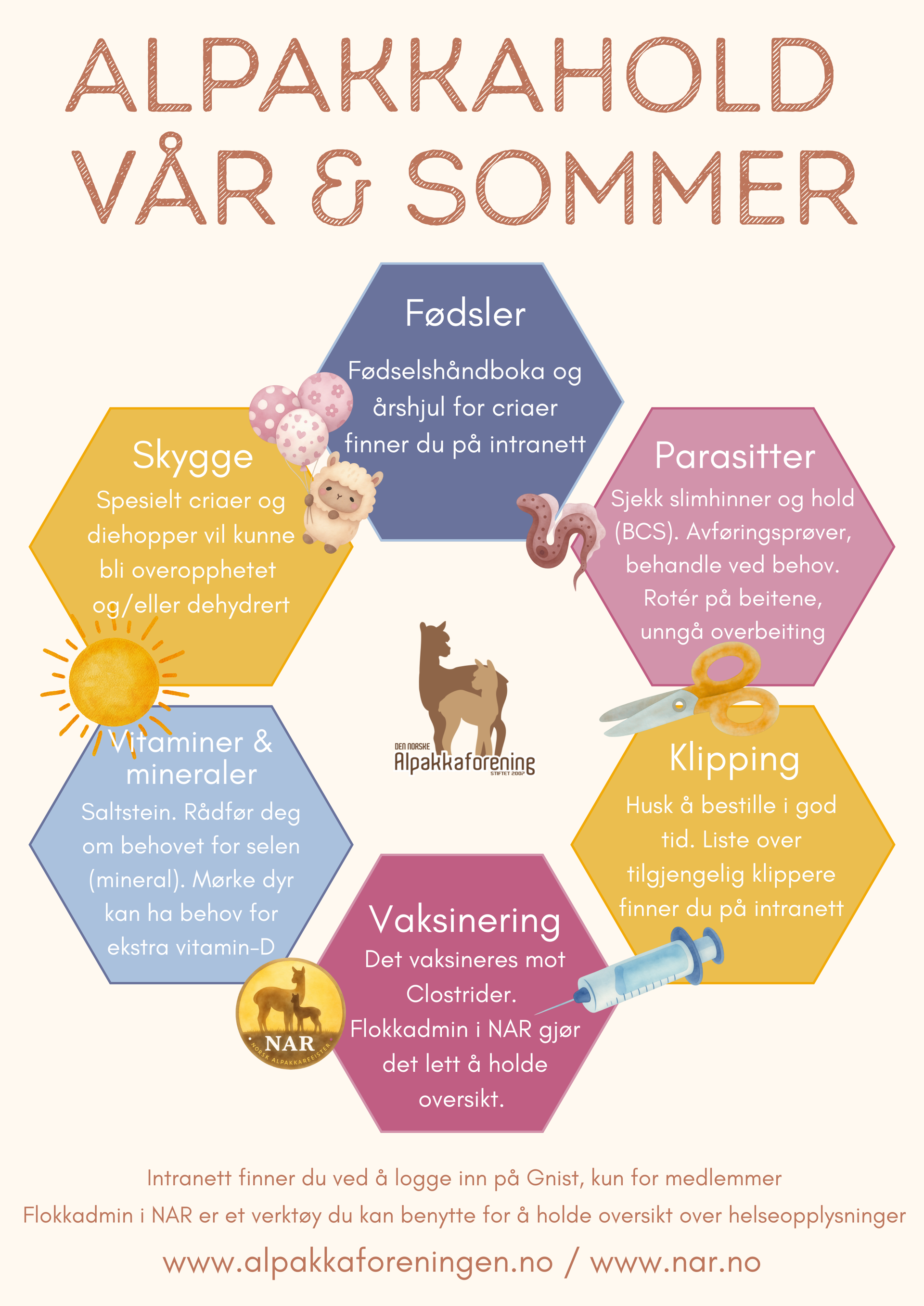 Alpakkahold - Vår og sommer